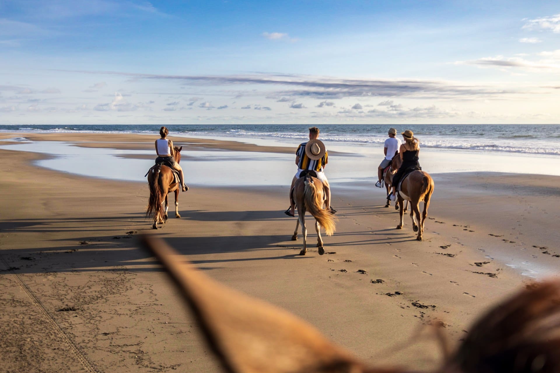 Cabalgata por la playa