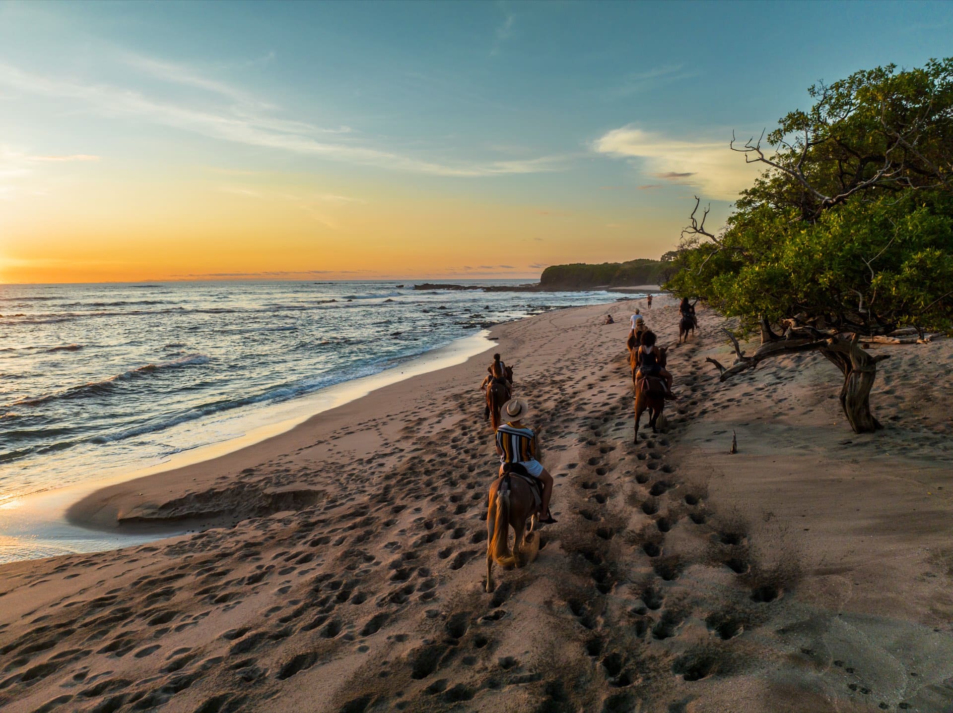 Surf & Aventura