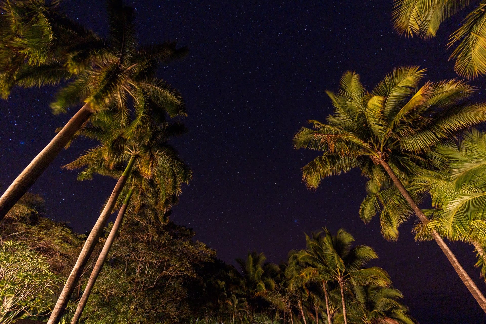 Cielo estrellado en Odisea
